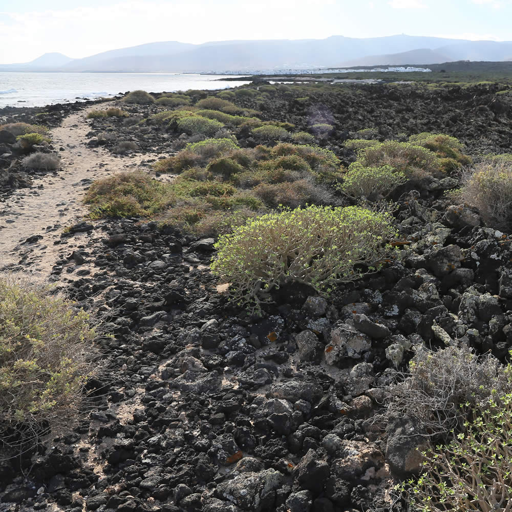 Punta Mujeres Jameos del Agua