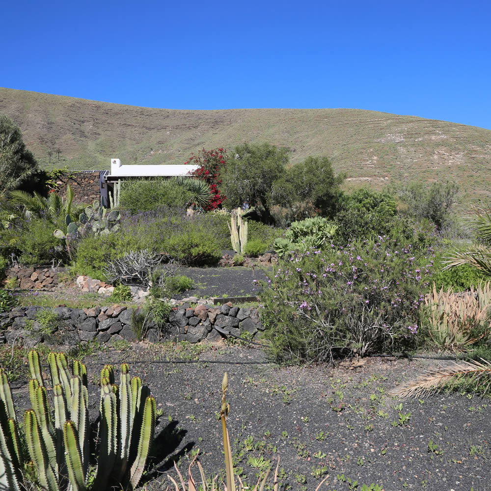 View at Finca Chafariz