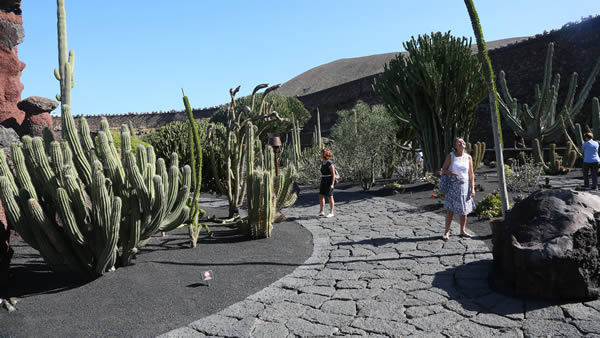 Jardin de Cactus Guatiza Lanzarote
