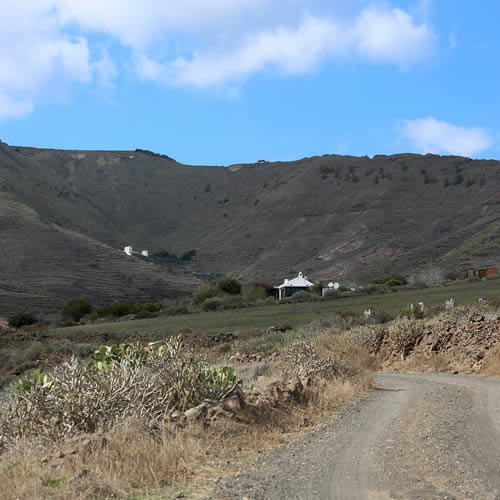 Tal van terrassen rondom Finca Chafariz Tabayesco